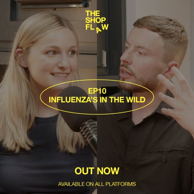 The Shop Flaw episode artwork